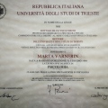 Ingrandire l'immagine: certificate 6