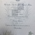 Ingrandire l'immagine: certificate 9
