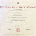 Ingrandire l'immagine: certificate 2