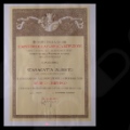 Ingrandire l'immagine: certificate 2