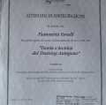 Ingrandire l'immagine: certificate 6