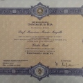 Ingrandire l'immagine: certificate 5