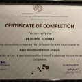 Ingrandire l'immagine: certificate 3