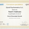Ingrandire l'immagine: certificate 2
