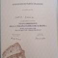 Ingrandire l'immagine: certificate 7