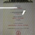 Ingrandire l'immagine: certificate 13