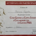 Ingrandire l'immagine: certificate 13