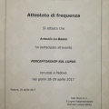 Ingrandire l'immagine: certificate 10