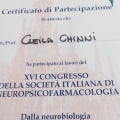 Ingrandire l'immagine: certificate 3