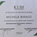 Ingrandire l'immagine: certificate 8
