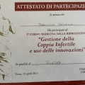 Ingrandire l'immagine: certificate 8