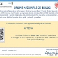 Ingrandire l'immagine: certificate 8