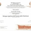 Ingrandire l'immagine: certificate 1