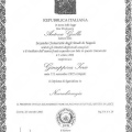 Ingrandire l'immagine: certificate 5
