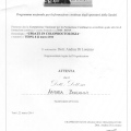 Ingrandire l'immagine: certificate 4