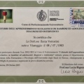 Ingrandire l'immagine: certificate 3