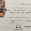 Ingrandire l'immagine: certificate 3