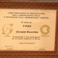 Ingrandire l'immagine: certificate 9