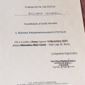 Ingrandire l'immagine: certificate 13