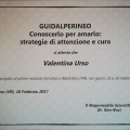 Ingrandire l'immagine: certificate 5