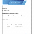 Ingrandire l'immagine: certificate 2