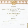 Ingrandire l'immagine: certificate 2
