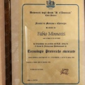 Ingrandire l'immagine: certificate 4