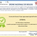 Ingrandire l'immagine: certificate 4