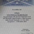 Ingrandire l'immagine: certificate 11
