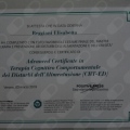 Ingrandire l'immagine: certificate 28