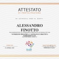 Ingrandire l'immagine: certificate 9