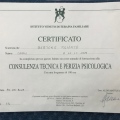 Ingrandire l'immagine: certificate 3