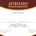 Ingrandire l'immagine: certificate 1