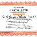 Ingrandire l'immagine: certificate 7