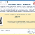 Ingrandire l'immagine: certificate 17