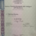 Ingrandire l'immagine: certificate 4