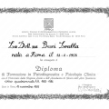 Ingrandire l'immagine: certificate 7