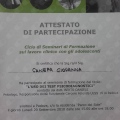 Ingrandire l'immagine: certificate 1
