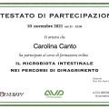 Ingrandire l'immagine: certificate 4