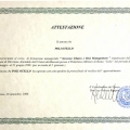 Ingrandire l'immagine: certificate 1