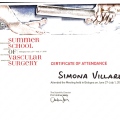 Ingrandire l'immagine: certificate 4