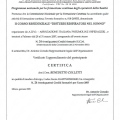 Ingrandire l'immagine: certificate 5