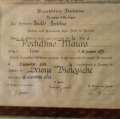 Ingrandire l'immagine: certificate 1