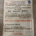 Ingrandire l'immagine: certificate 1