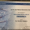 Ingrandire l'immagine: certificate 6
