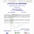 Ingrandire l'immagine: certificate 4