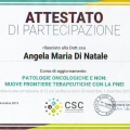 Ingrandire l'immagine: certificate 7