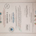 Ingrandire l'immagine: certificate 11