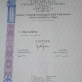 Ingrandire l'immagine: certificate 2