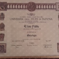 Ingrandire l'immagine: certificate 2